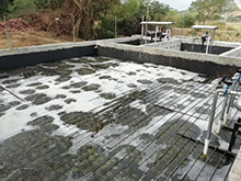 好色先生下载安装渗滤液处理工艺