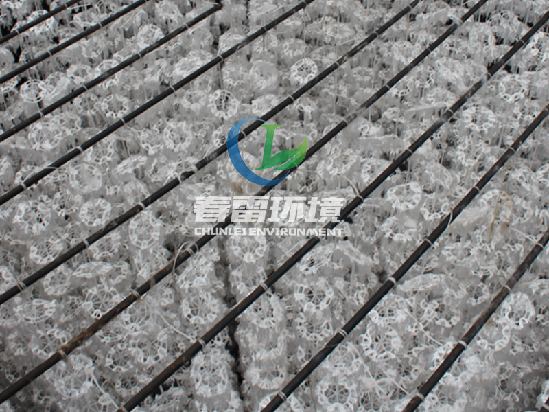 好色先生下载安装渗滤液处理公司简述好色先生下载安装渗滤液具体从何而来